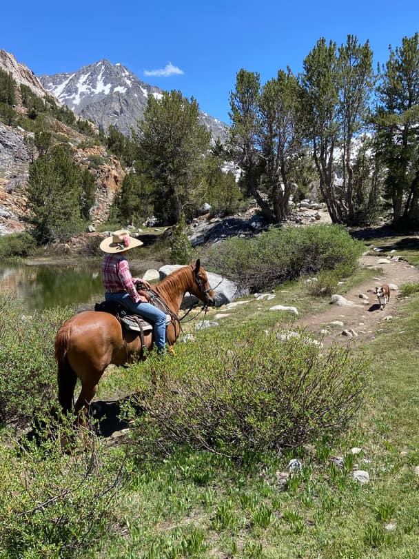 Bishop Lakes Ride: Full-Day Horseback Adventure in Bishop Basin