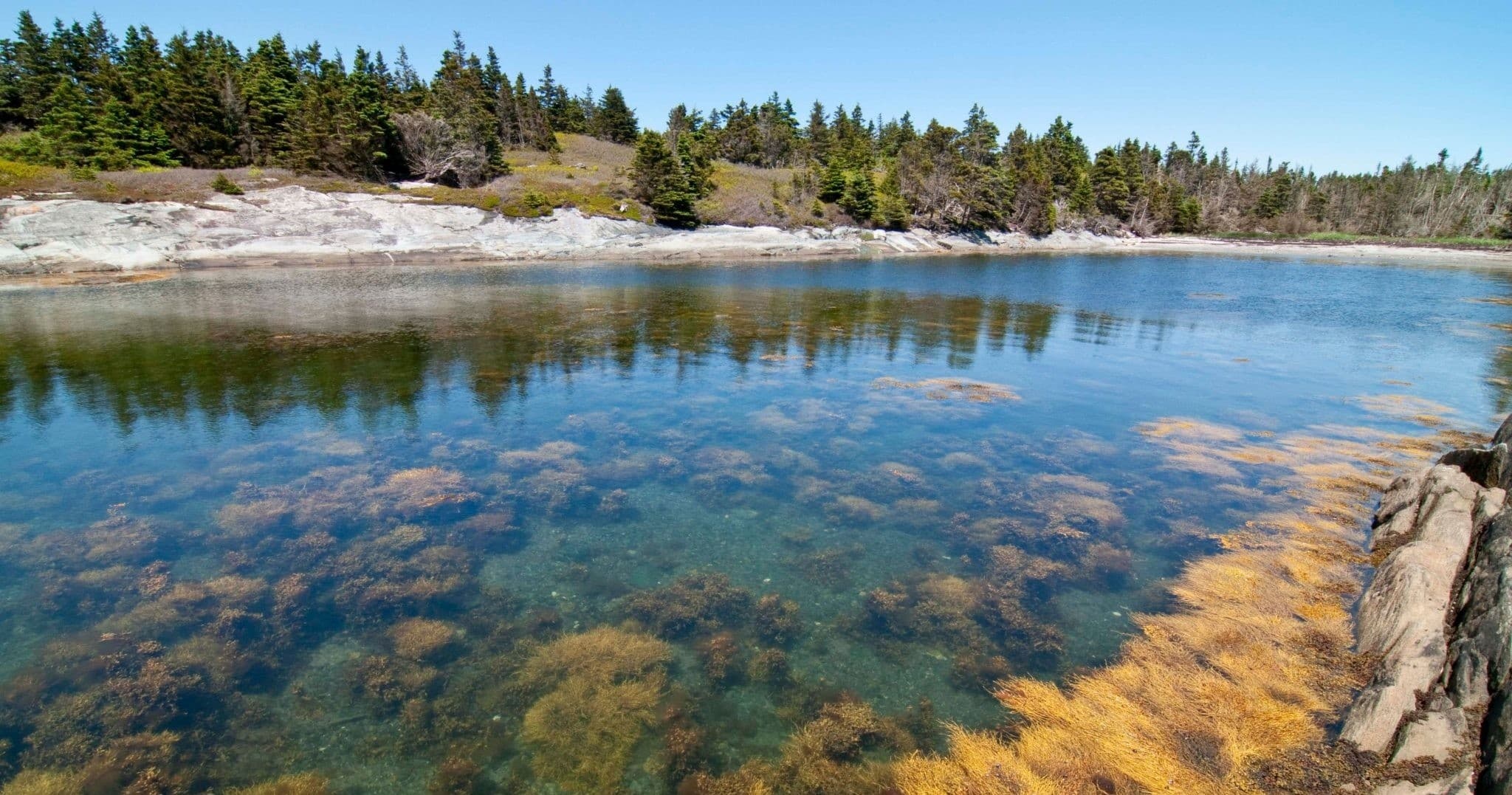 Paddling the Wild Islands: Two-Hour Kayak Tours from Tangier, Nova Scotia