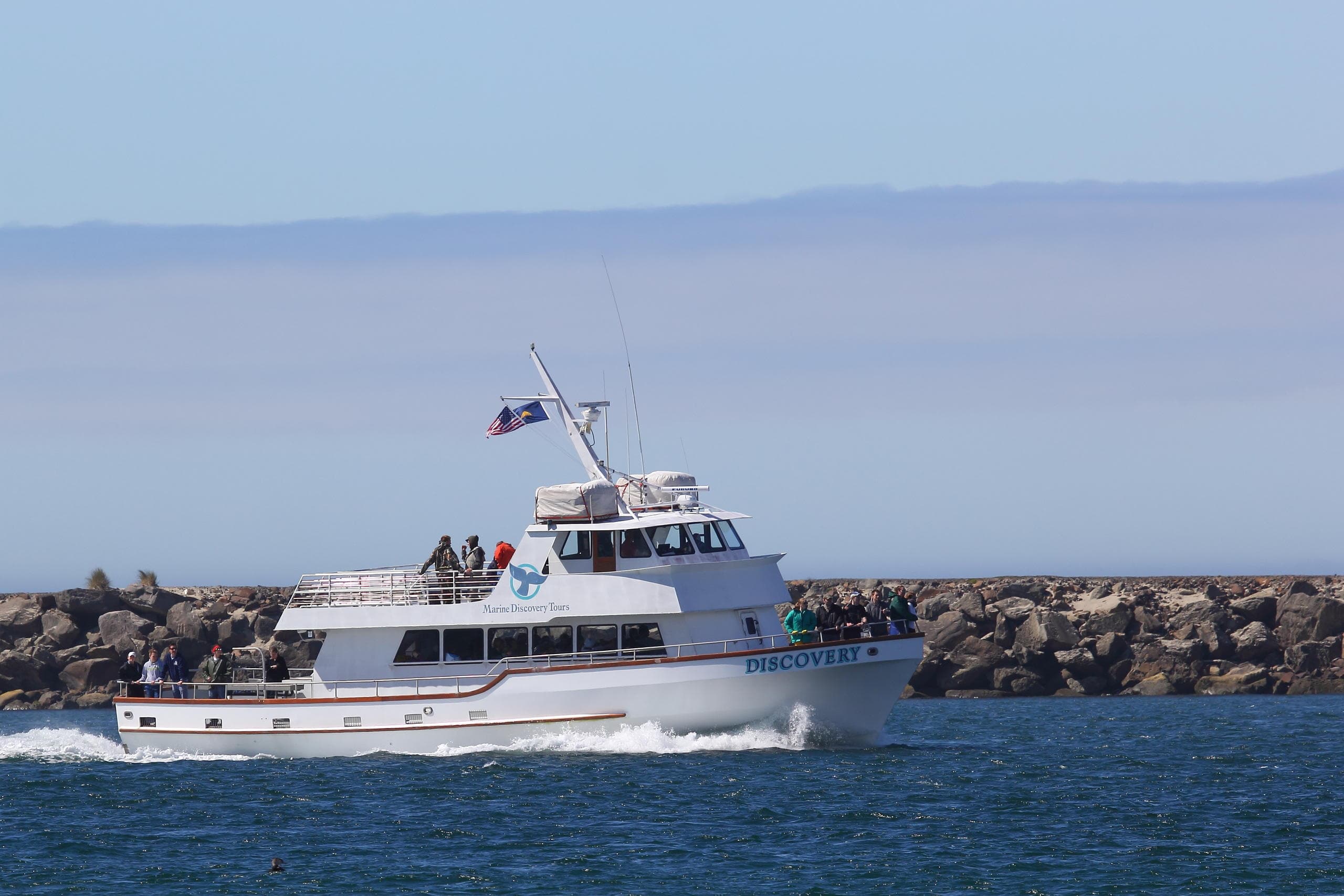 Marine Discovery Tours fleet