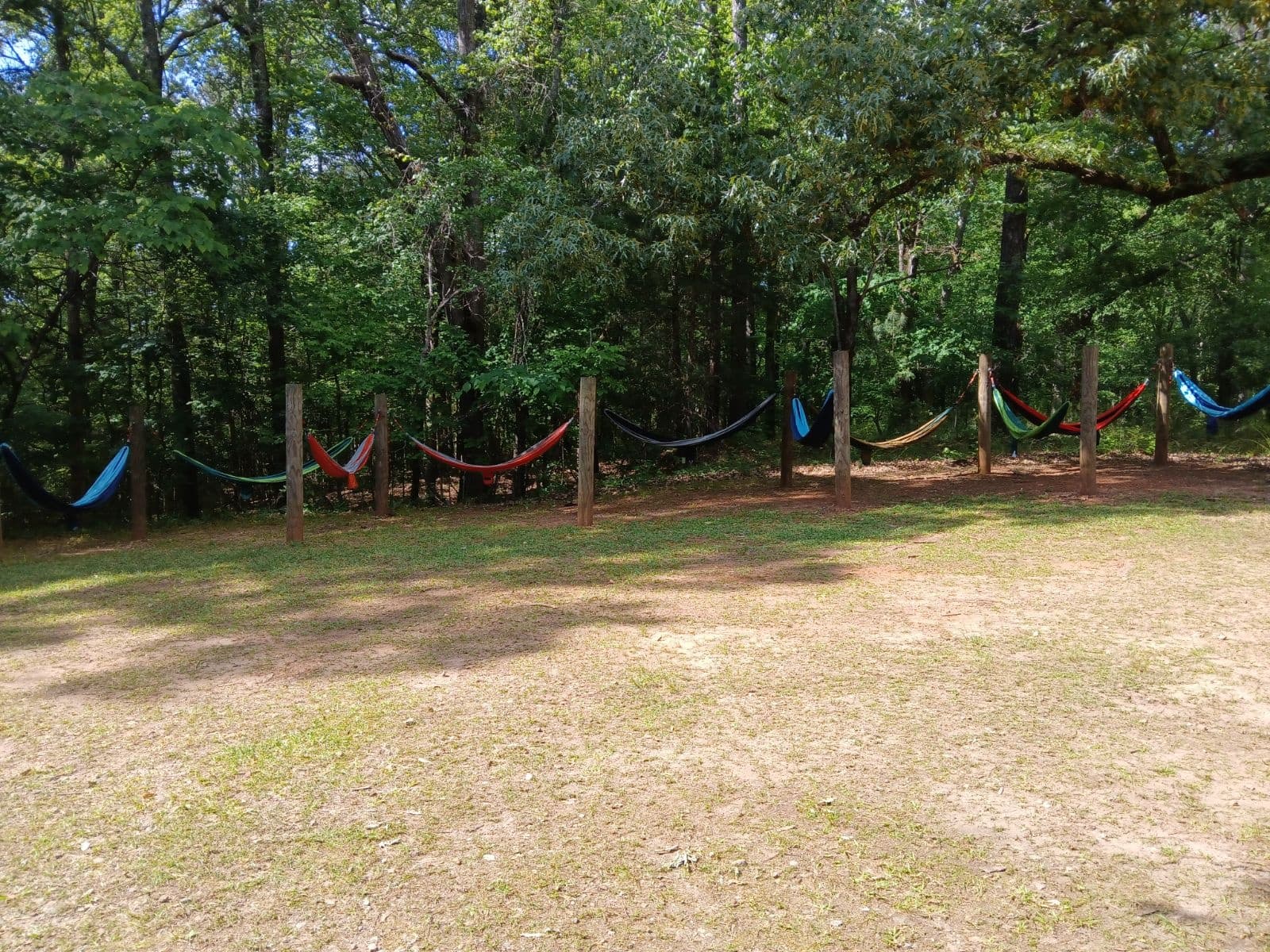 Row of colorful hammocks set in shaded woodland clearing