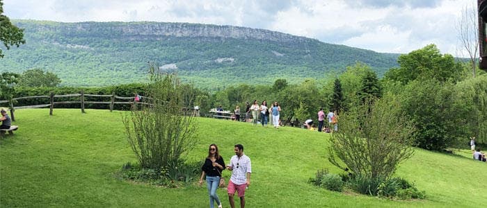 Panoramic grassy vineyard with mountain backdrop, scenic tasting