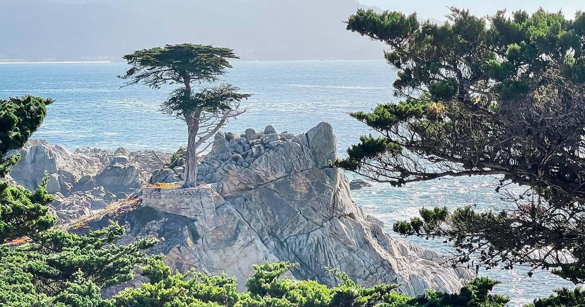 Carmel Bikes, Bites & Bevs: A Tasty Walk & Ride Tour