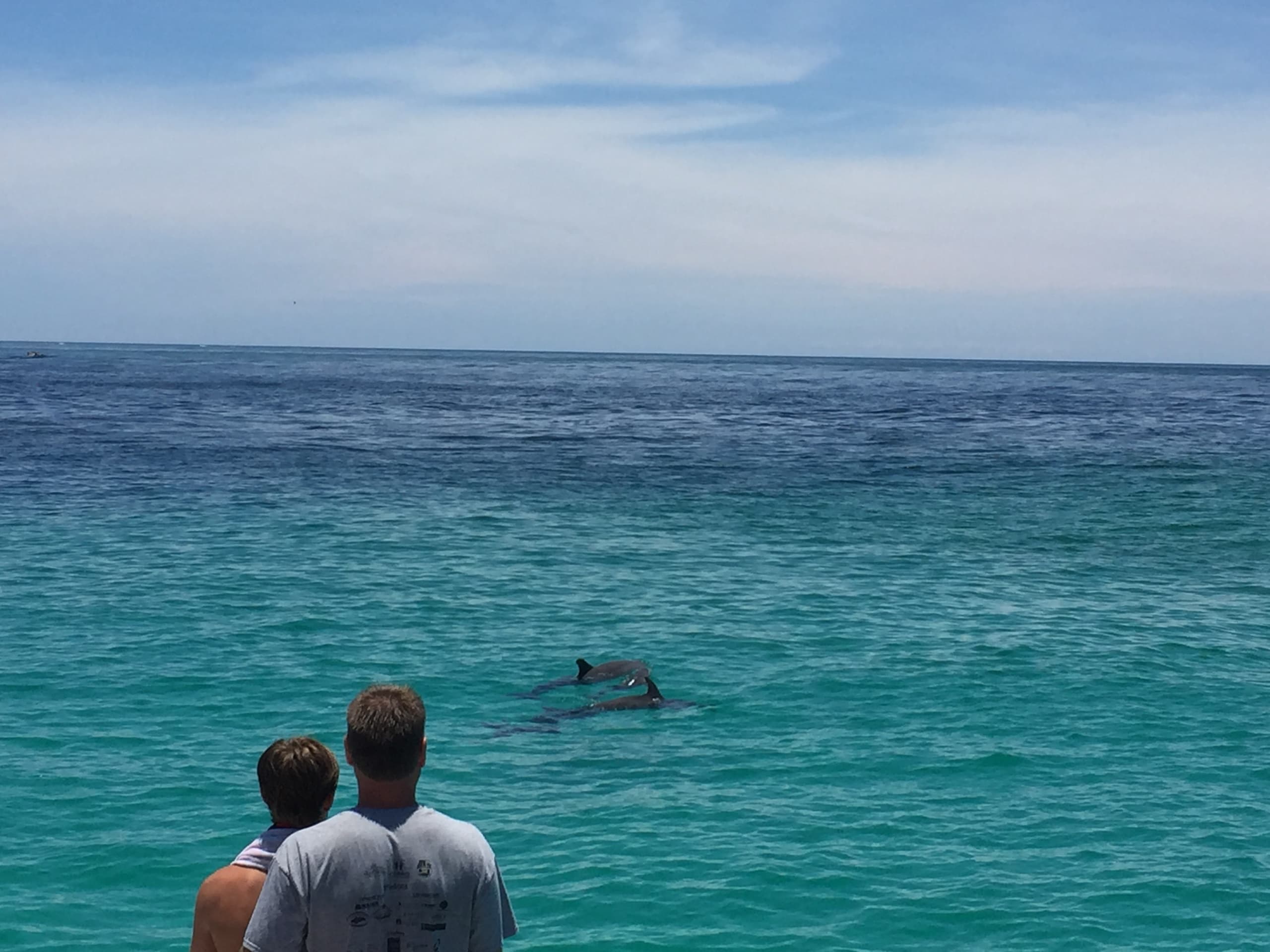 Private Dolphin Sail on Lazy Daze Catamaran — Panama City Beach Gulf Encounter photo 1
