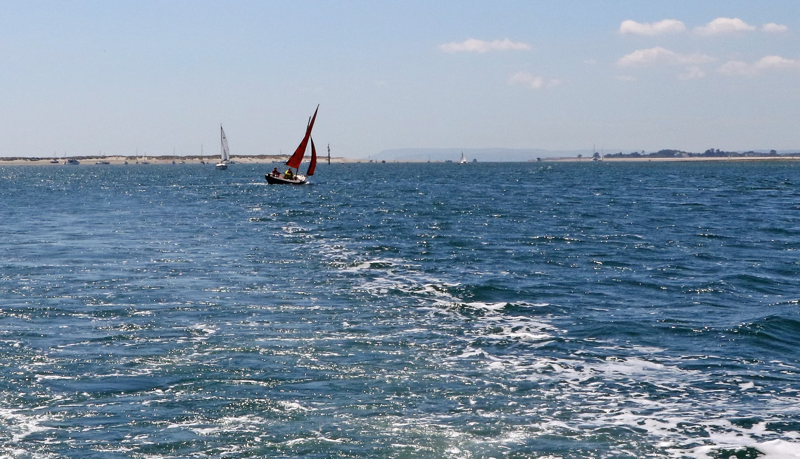 Water Activities: Chichester Harbour Bird Watching & Tour