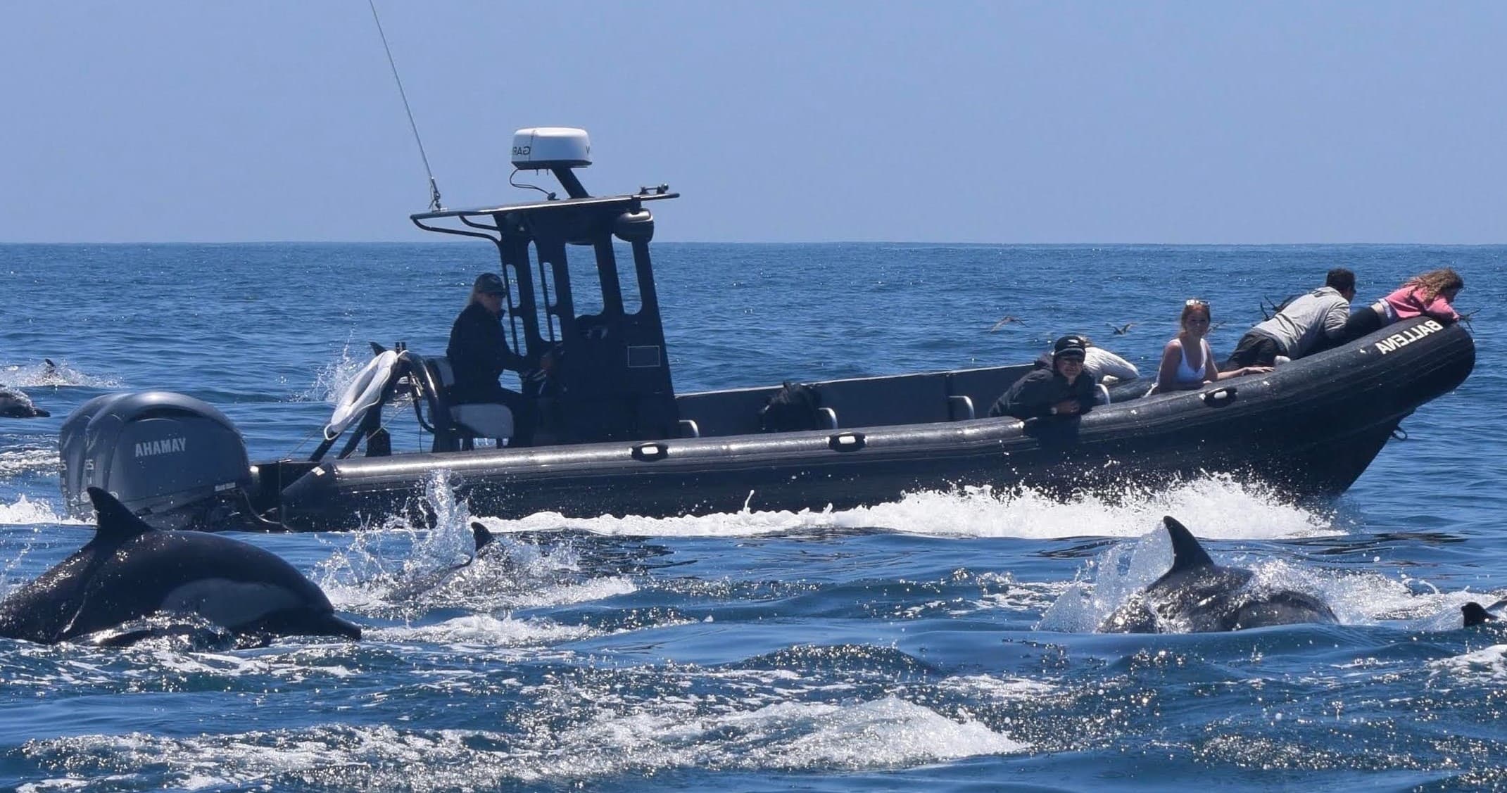 Water Activities & Oceanside Coastal Expeditions: Private Ocean Adventures