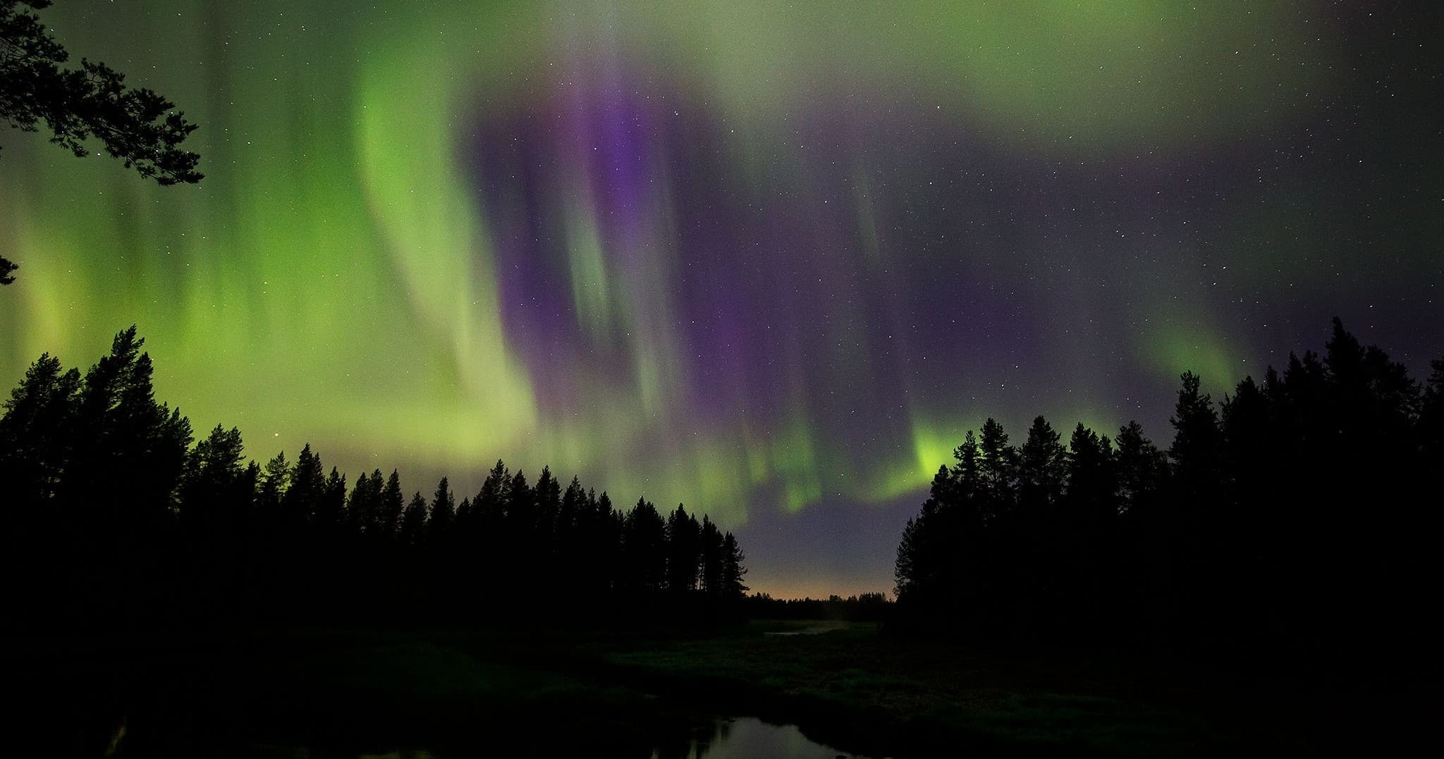 Northern lights over taiga forest with reflective lake