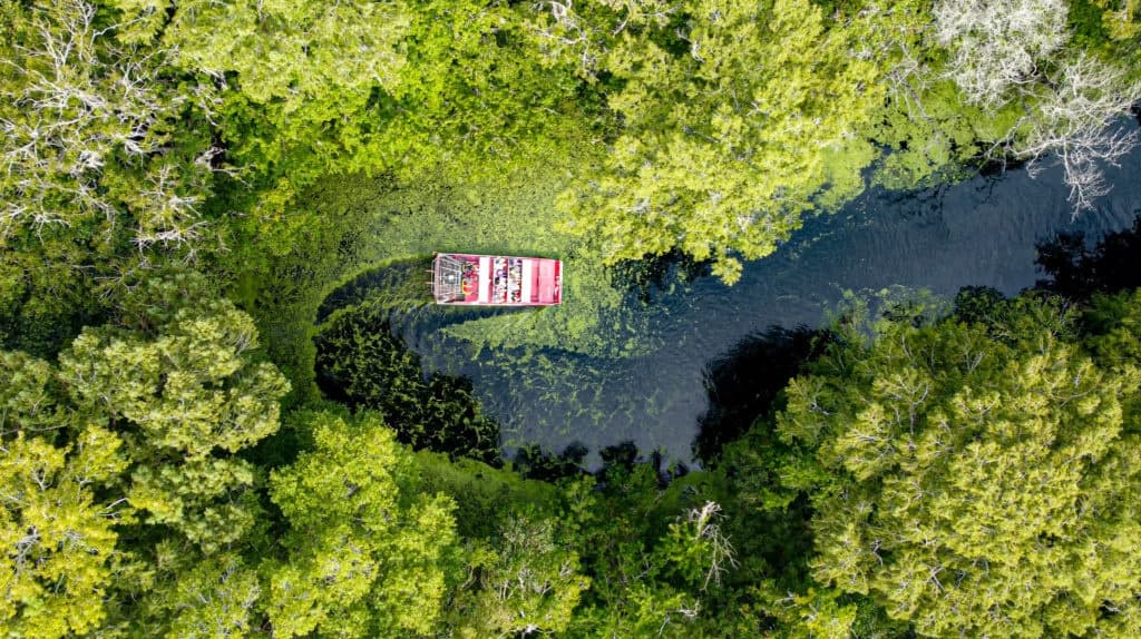 One Hour Airboat Tour at Lake Panasoffkee, Florida