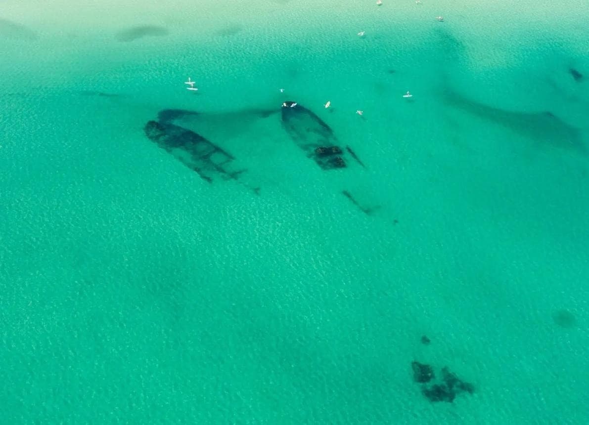 Outer Banks Explorer Helicopter Tour: Aerial Views of Bodie Island, Oregon Inlet & Roanoke Sound