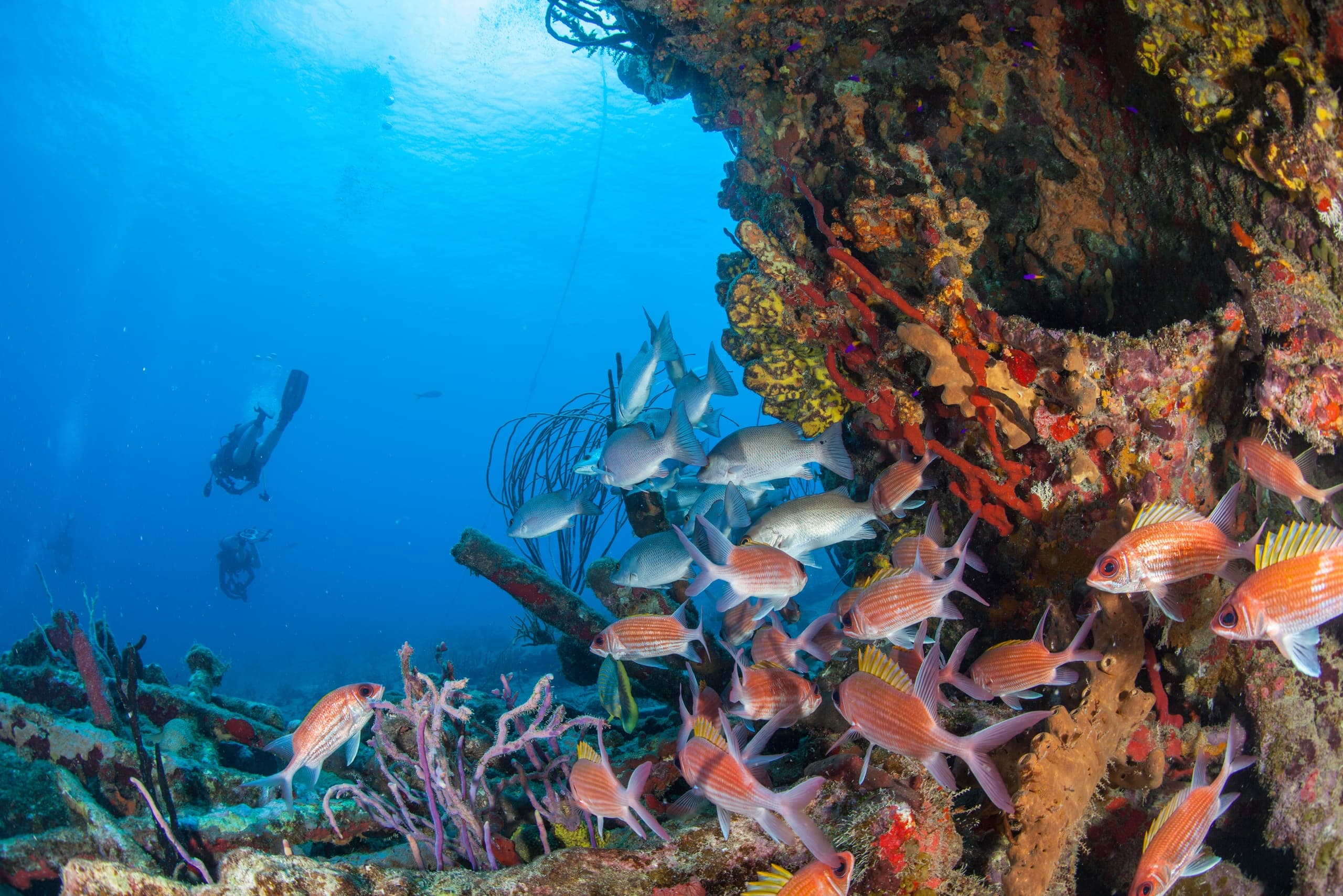 Water-Activities & Cruz Bay Watersports: Snorkel & Sail Adventure in St. Thomas