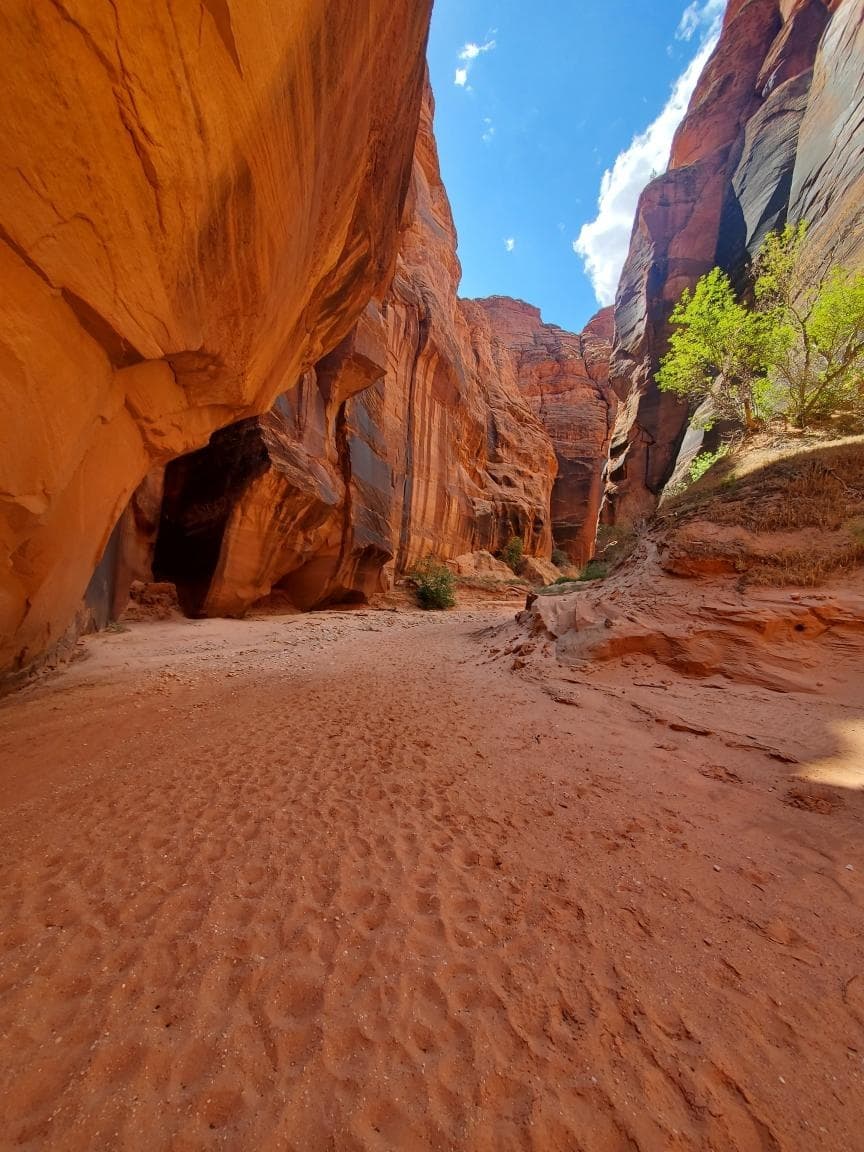 Explore Buckskin Gulch & Wire Pass in Kanab, Utah