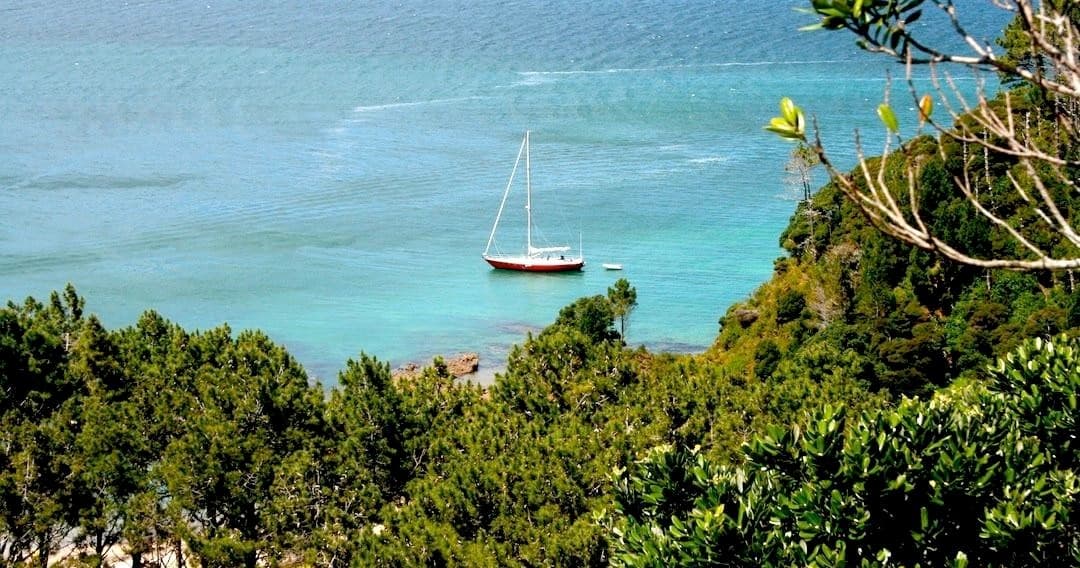 Water Activities: Bay of Islands Private Cruise by Phantom Sailing