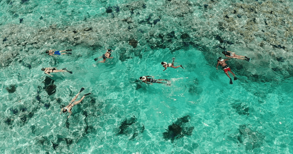 Sunset Snorkel Adventure in Key West, Florida