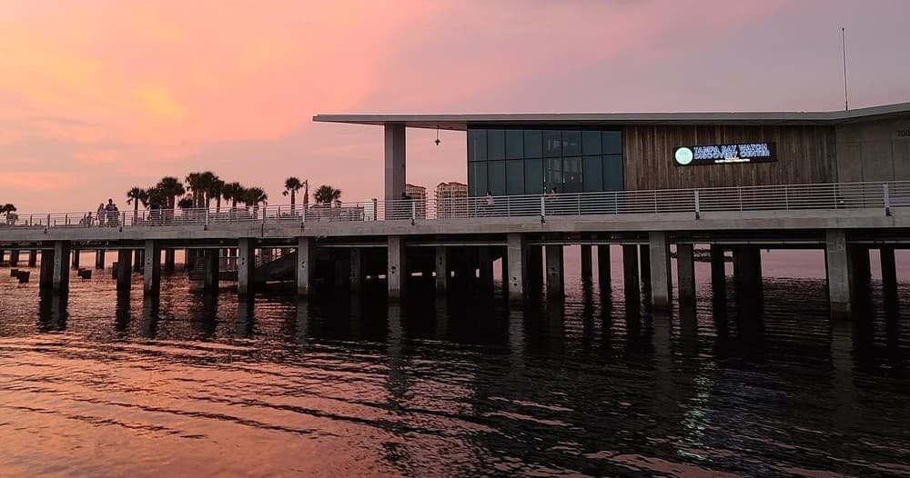 Tampa Bay Watch fleet