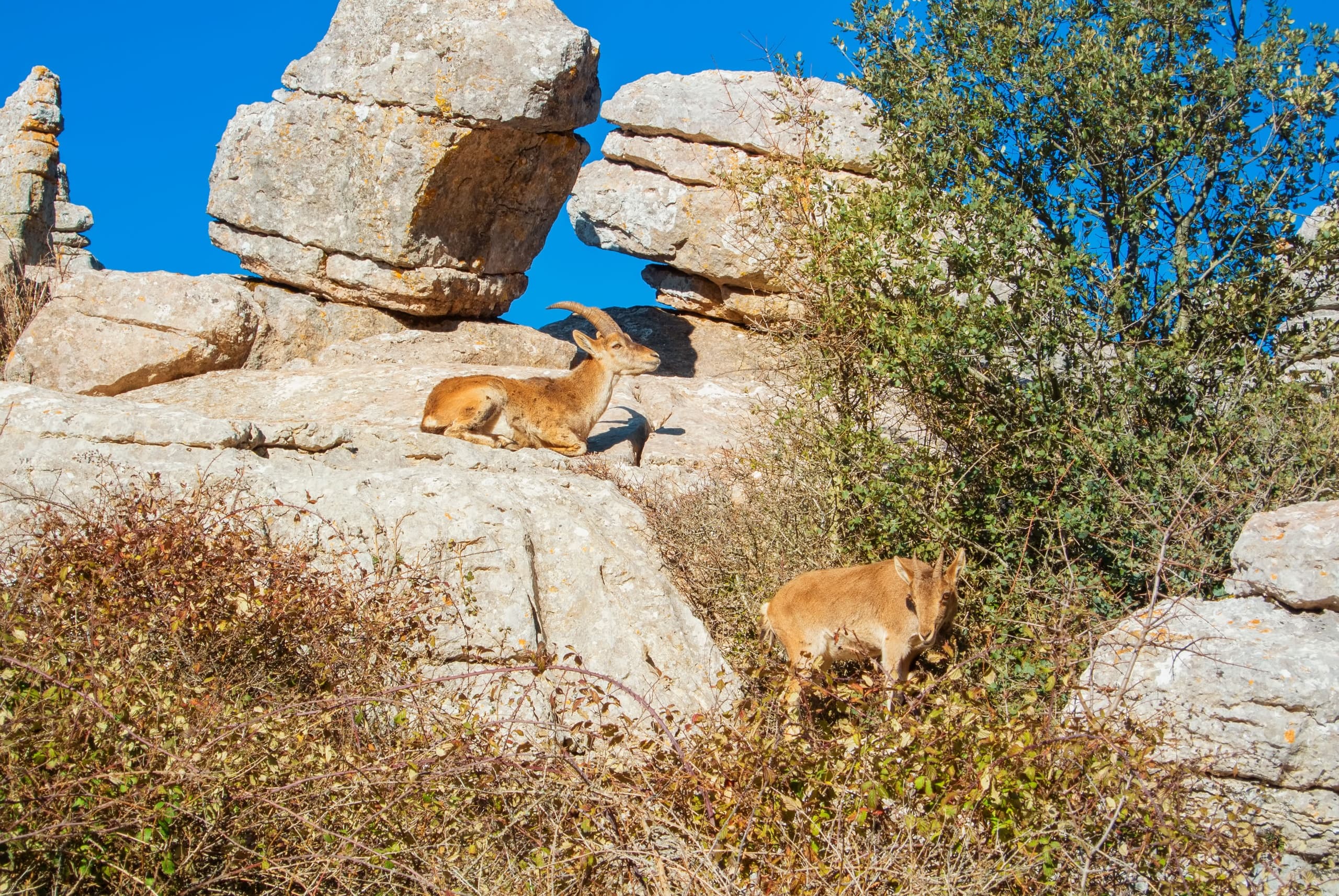 Land Adventures: El Torcal & Antequera with Tejeda Tours
