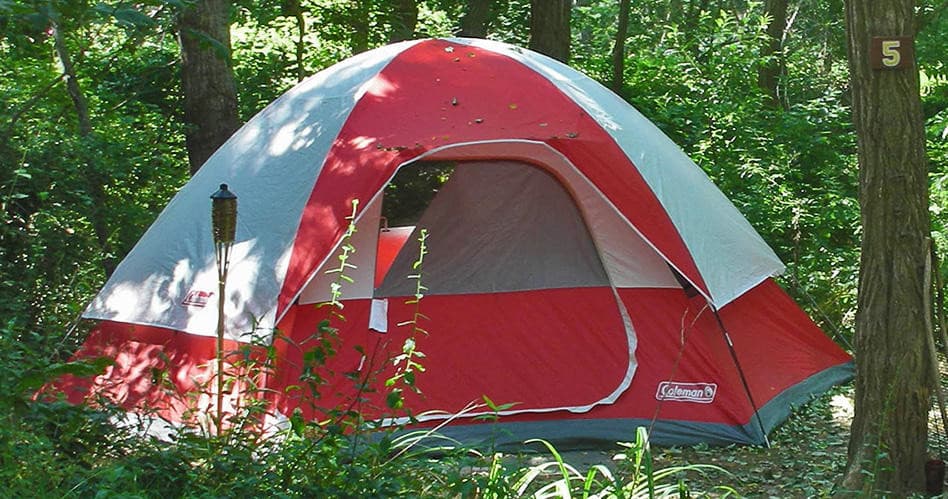 Land Adventures at Venture River RV Park