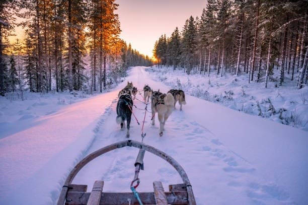 Under Aurora Skies: 10 km Husky Night Safari from Sirkka, Lapland photo 1