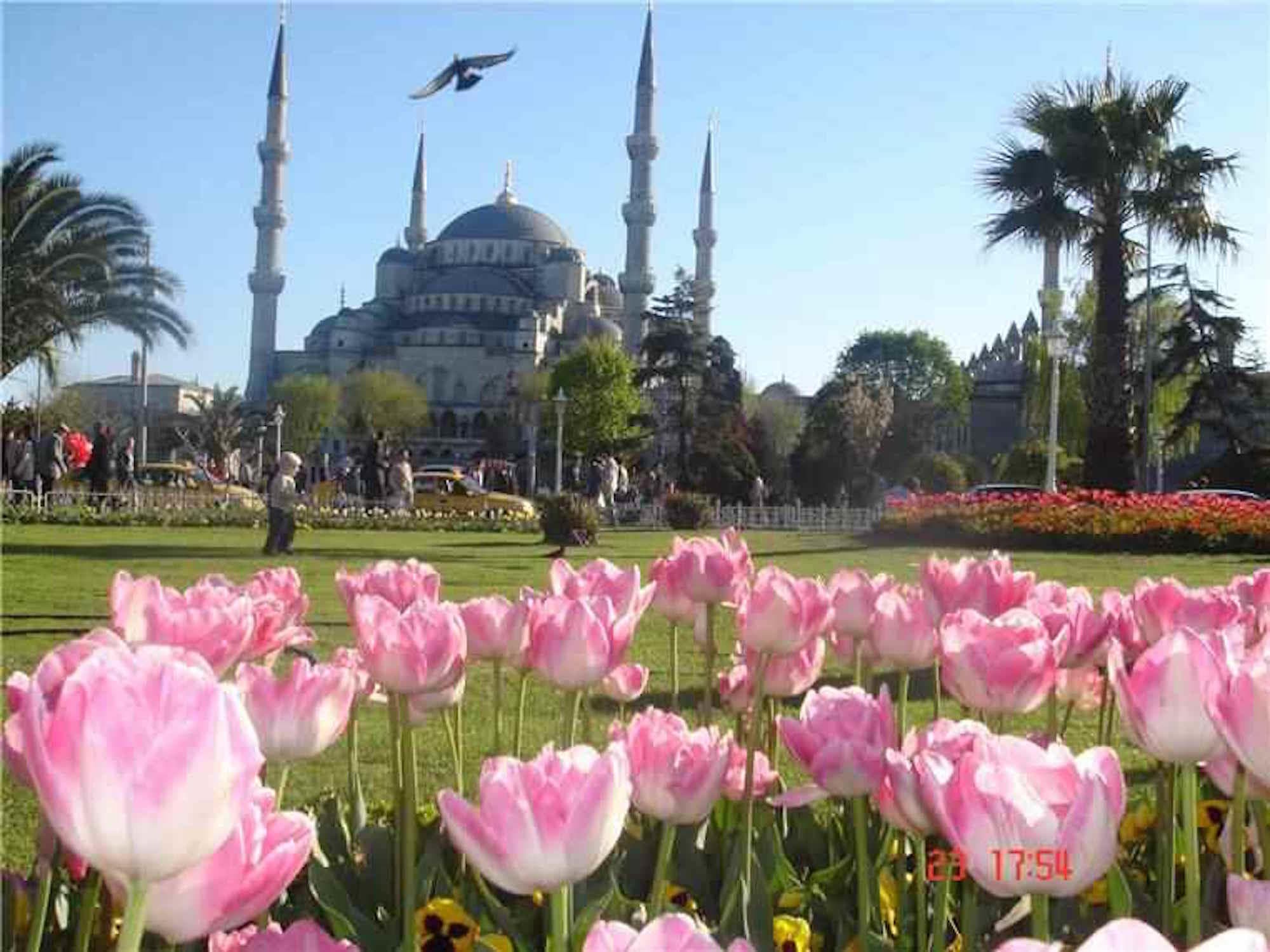 Historic Walking Tour of Blue Mosque & Hagia Sophia in Istanbul
