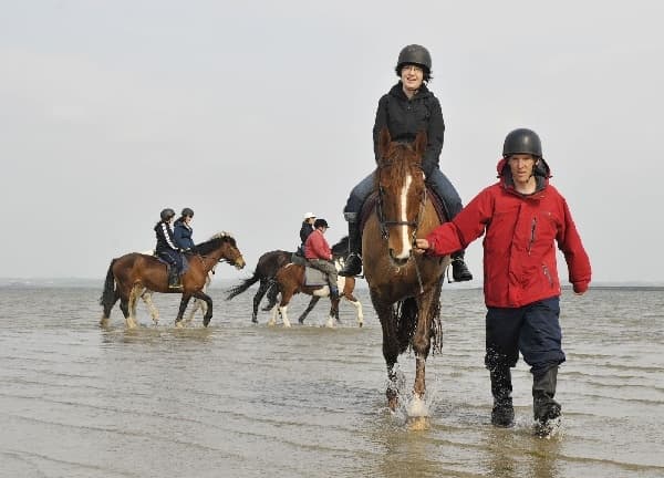 Horseback Riding Adventure at GoTrekking Equestrian Holidays