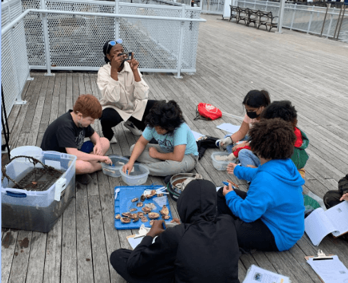 Empower Educators with Oyster Research Station Training in New York Harbor