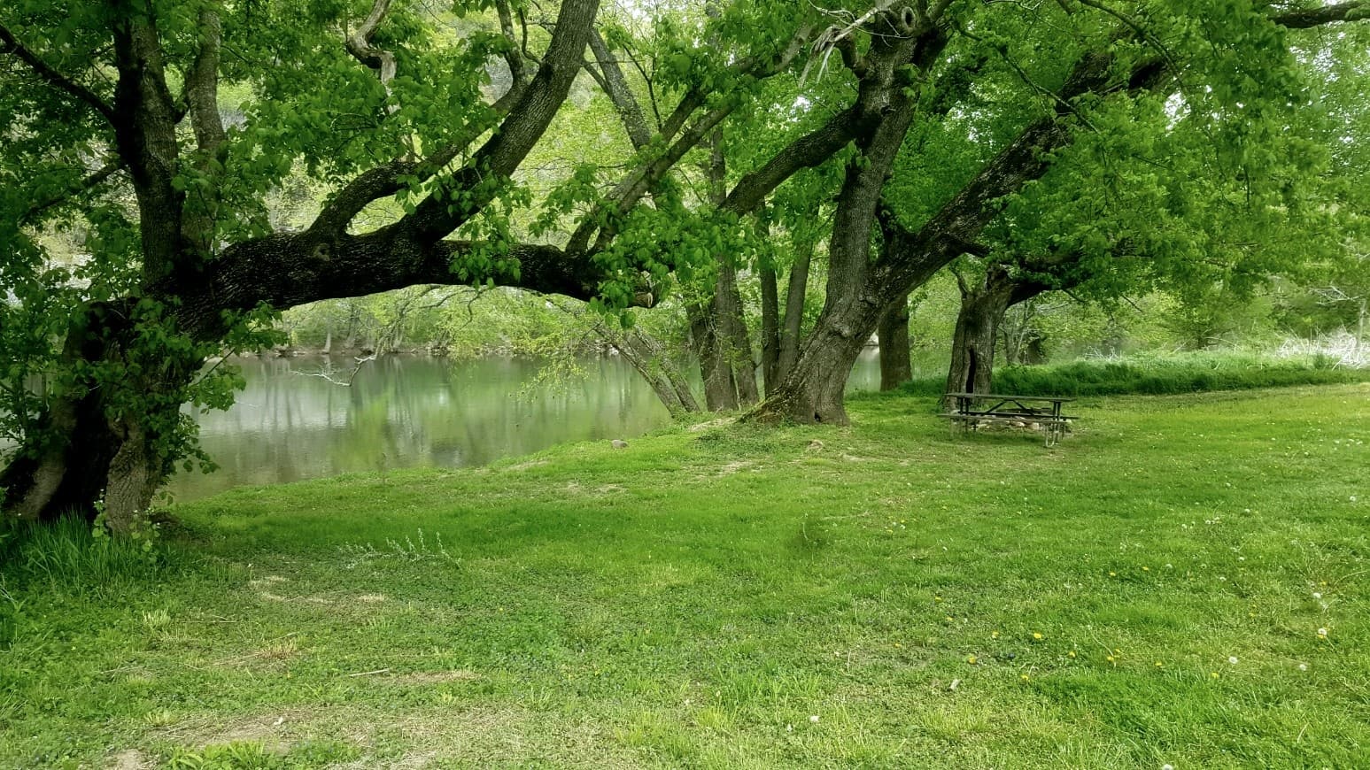 Arcadia Campground: Riverside Camping Retreat in Buchanan, Virginia