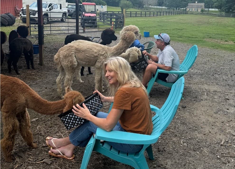 Alpaca Meet and Treat: 30-Minute Pasture Encounter in Kennesaw, GA photo 1