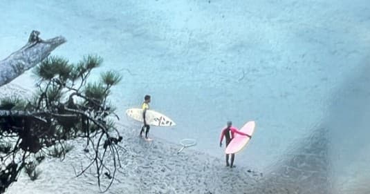 Surf, SUP or Kayak Immersion | Kayak in Little River, California