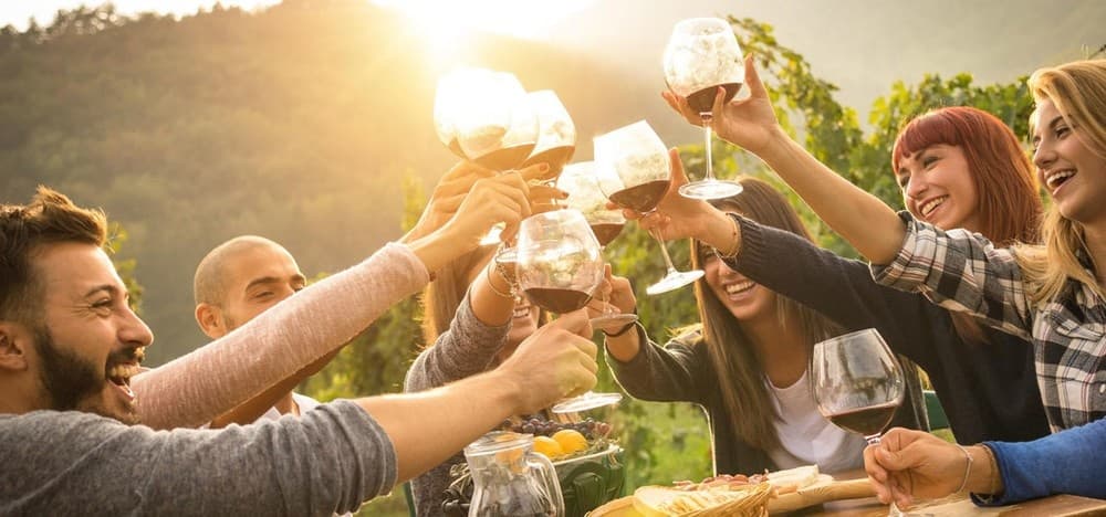 Bolognese Hills Wine Tour with Bologna Tour