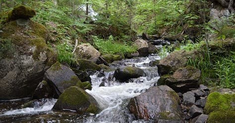 Backcountry Canoe Rental with Algonquin North Wilderness Outfitter