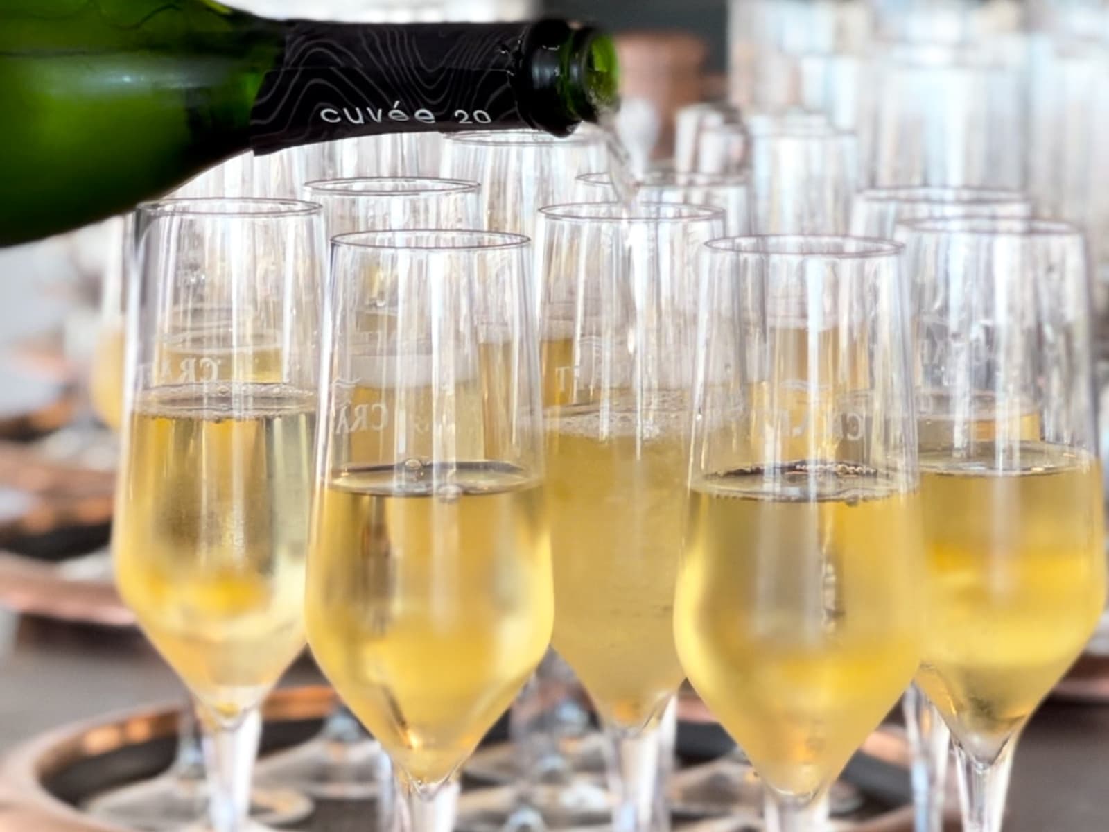 Hillsborough River Happy Hour Cruise: Sip, Savor & Sail in Tampa photo 1
