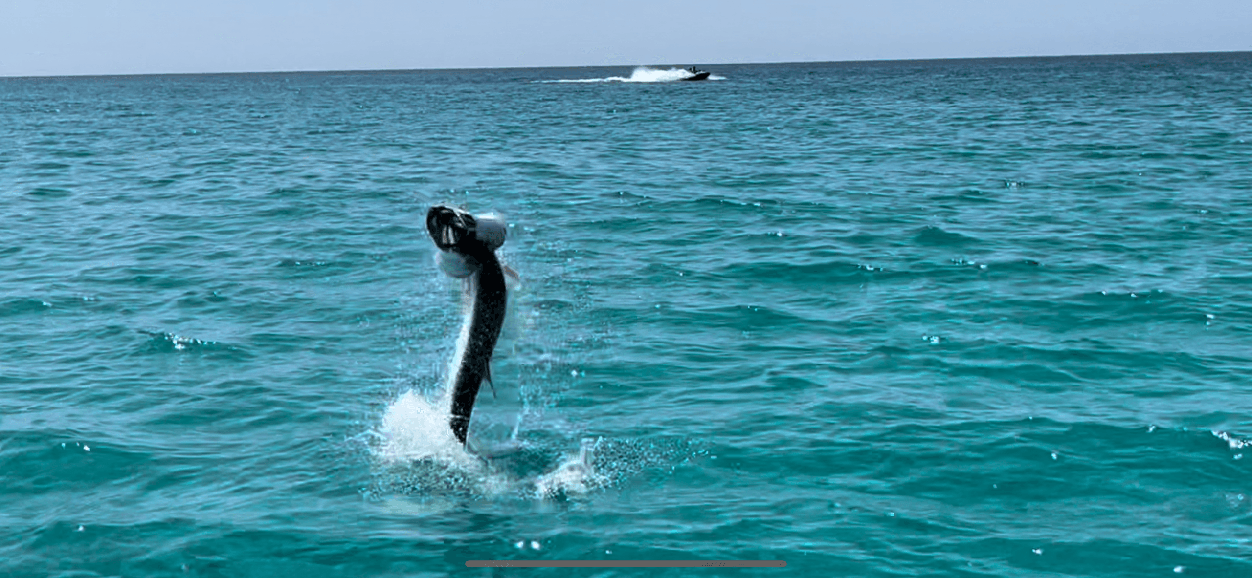 Offshore Fishing & Tarpon Adventures with Pharmasea Outfitters in Santa Rosa Beach