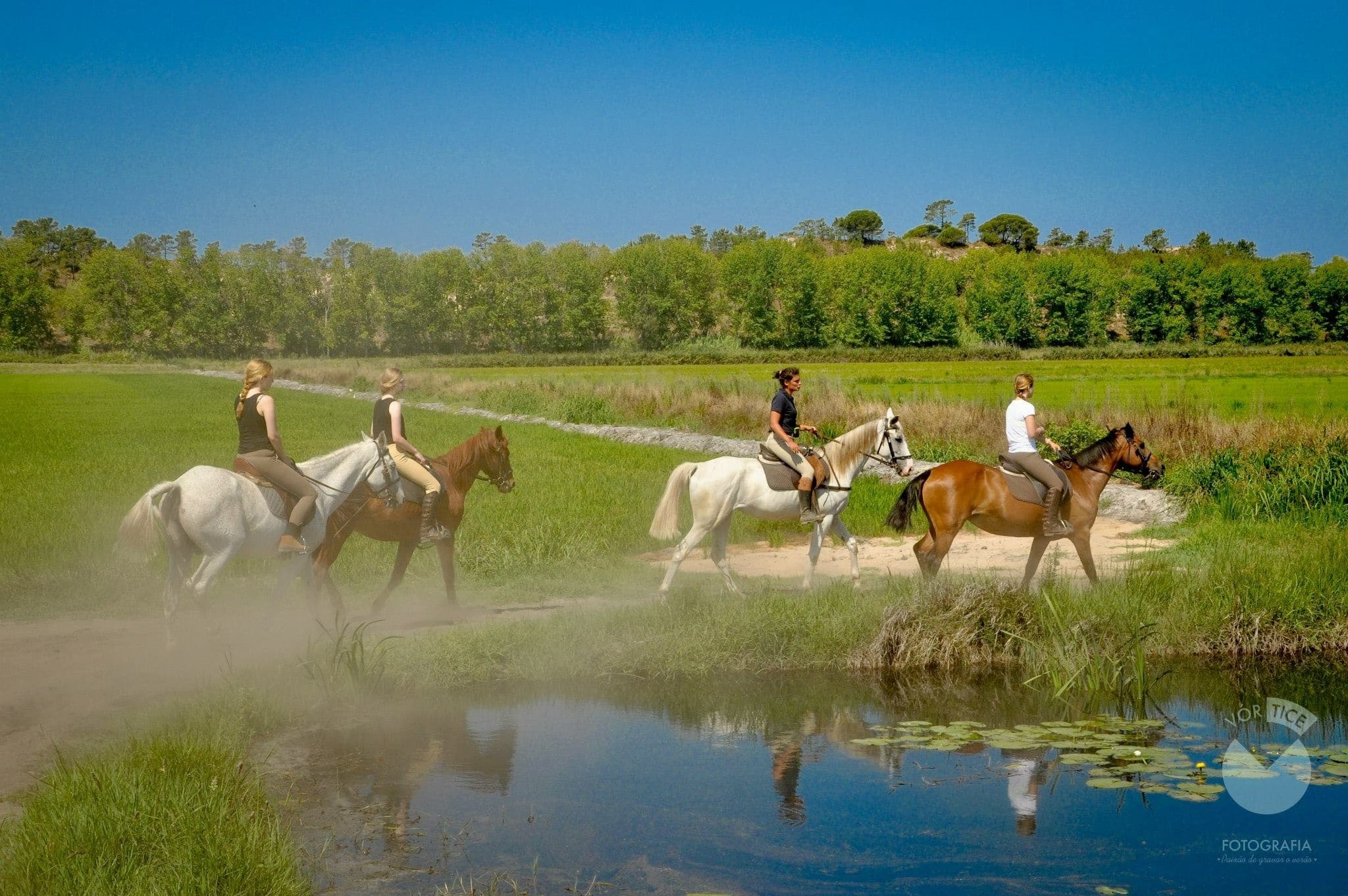 Horseback Beach Rides with Fantastic Ride in Melides