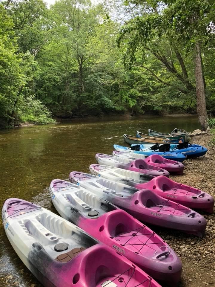 Water Activities at Hudson Mills to Delhi Metropark with Skip Hurons Canoe Livery