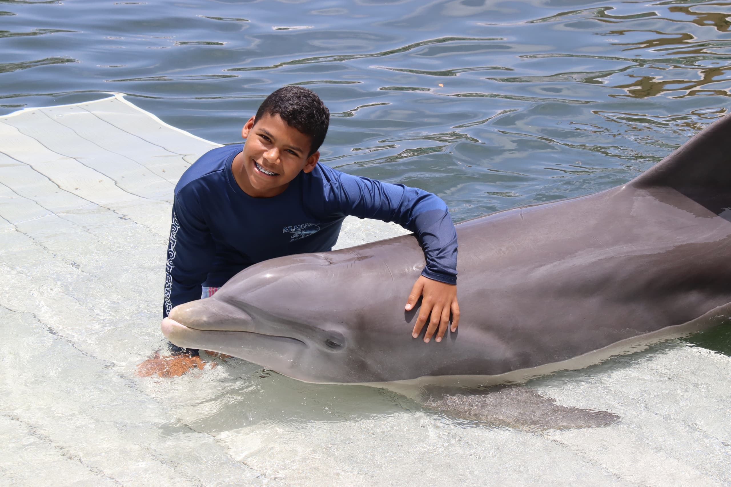 Child interacting with beached dolphin at seaside encounter
