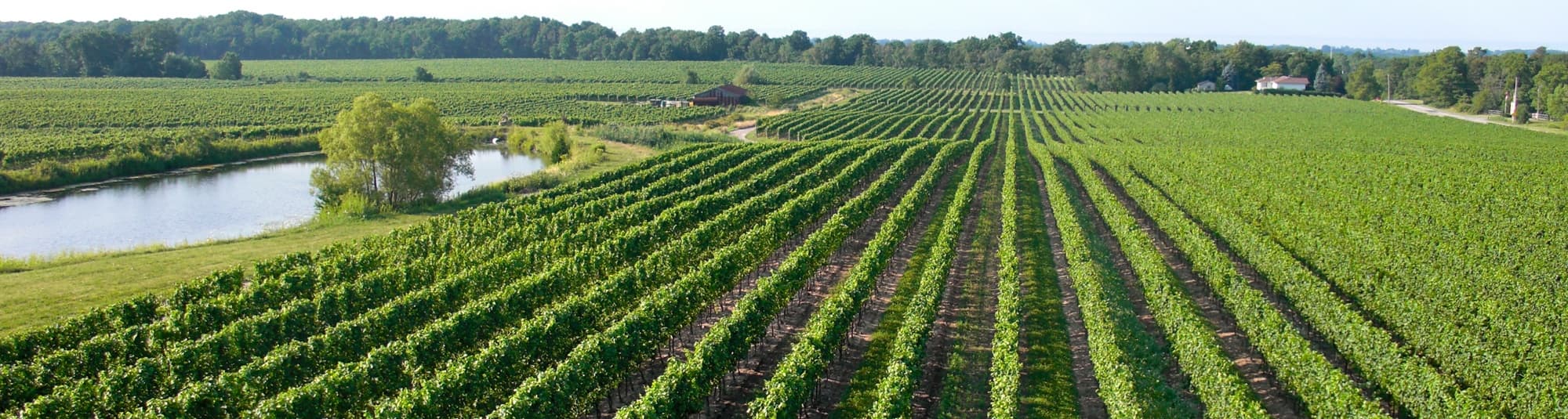 Sip and See: Niagara Taste Trio — 9-12 Tastings Across Three Wineries