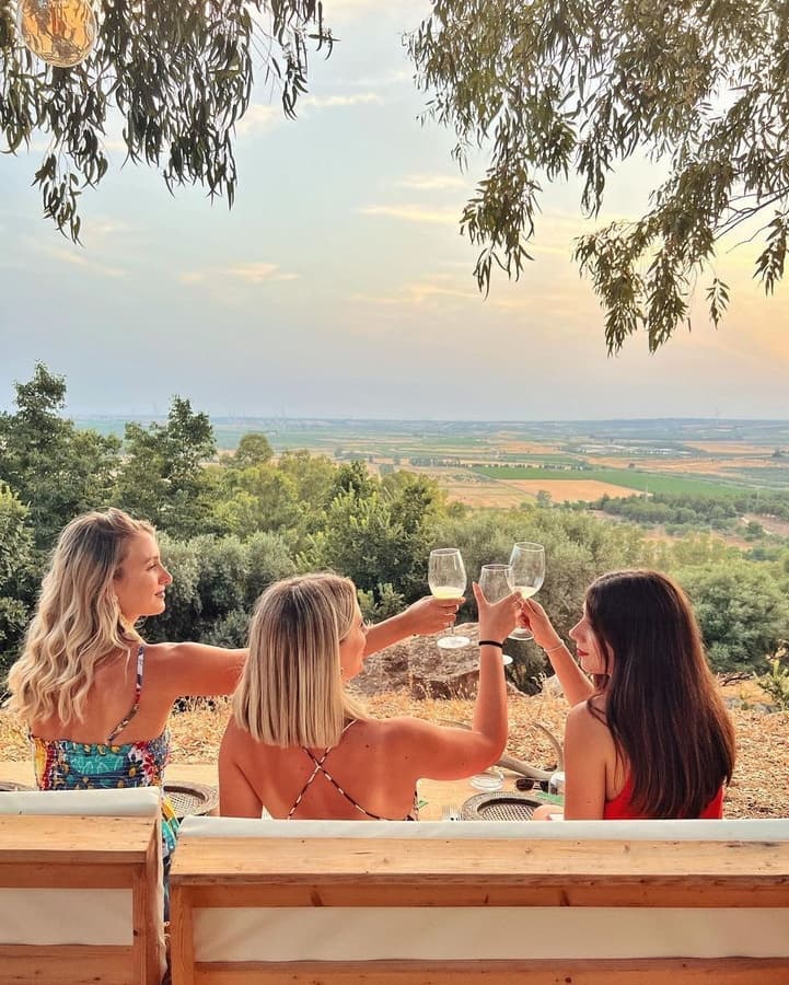 Three friends toasting wine on hillside terrace overlooking farmlands