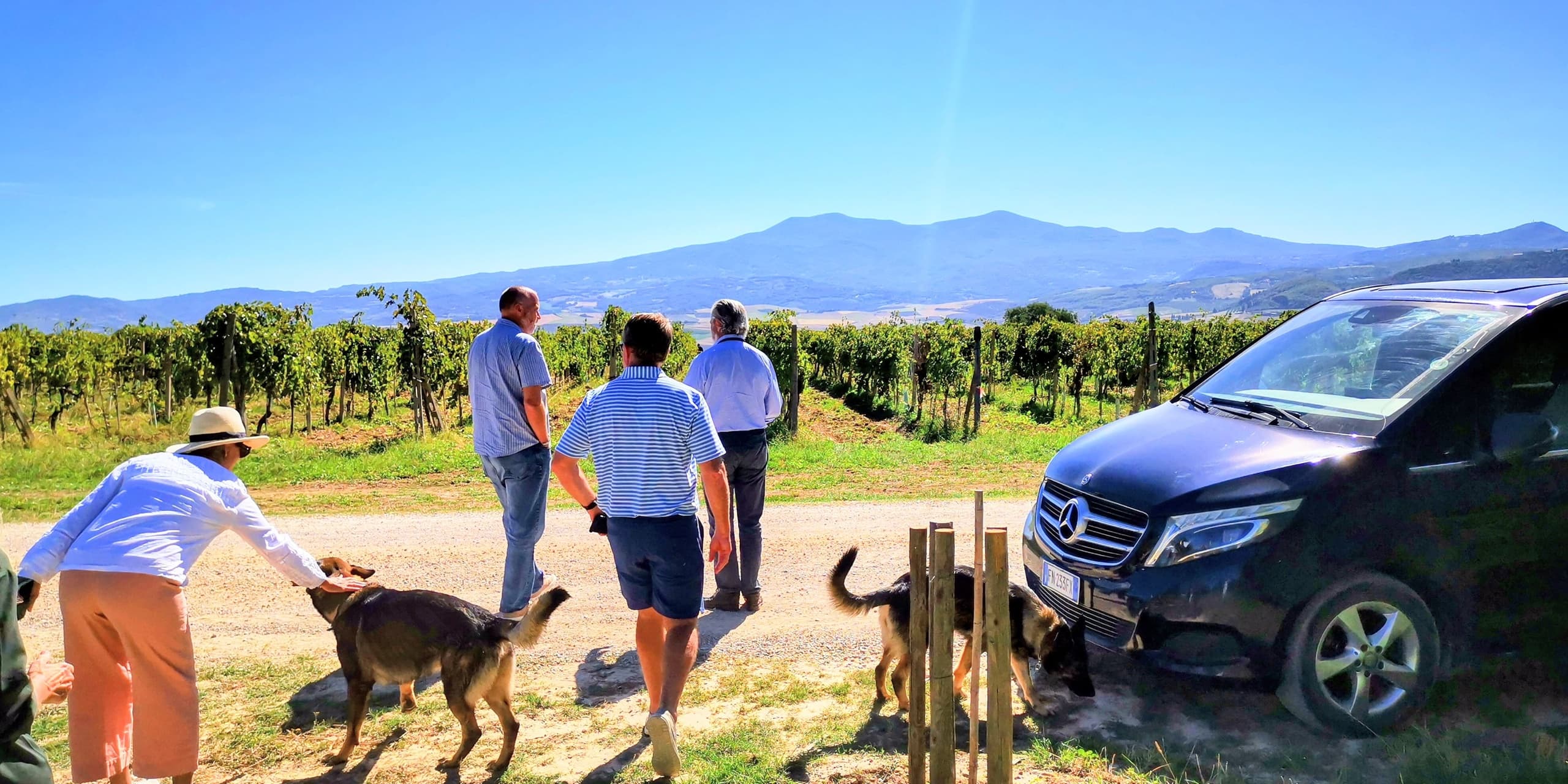Chianti Classico Wine Tours From Florence: Castles, Villages & Super Tuscans photo 4