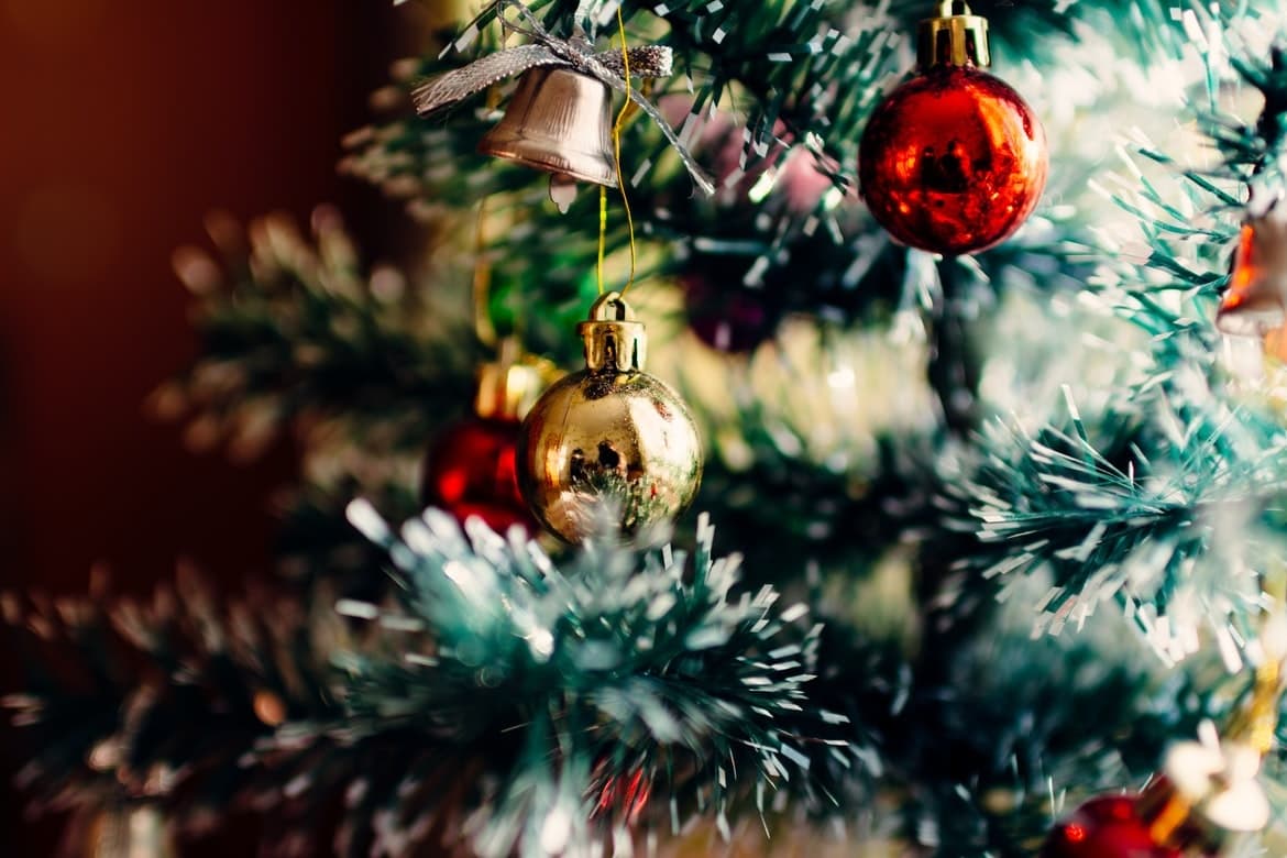 Christmas Wildlife & Family Fun with Goldendale Reindeer LLC