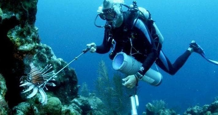 Water Activities with Always Diving & Water Sports: Lionfish Hunting Adventure