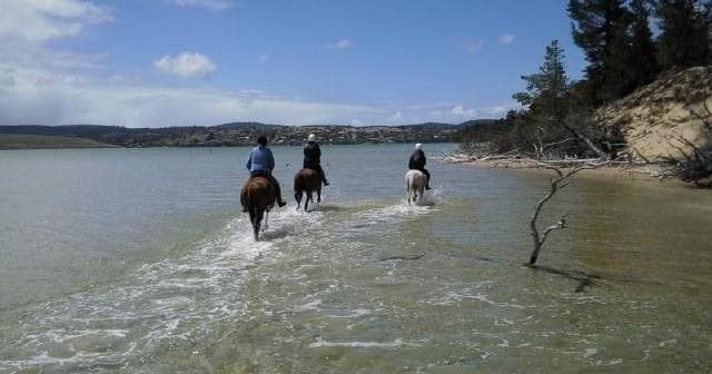 Beach Riding Tasmania: An Adventurous Oceanfront Escape
