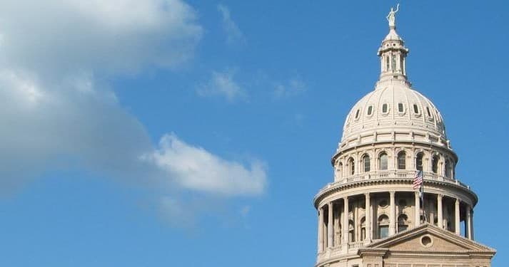 AO Tours Austin fleet