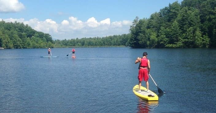 Solo stand-up paddleboarding on wide scenic lake with forest