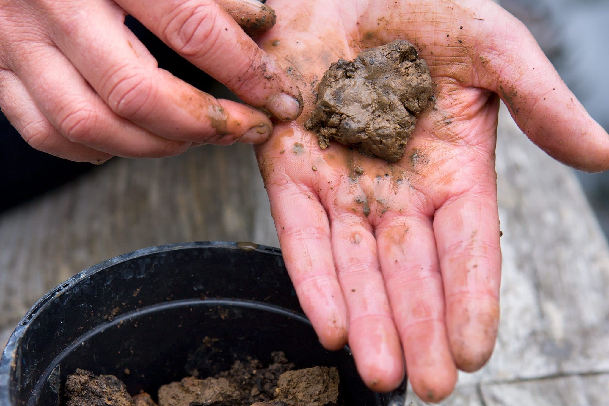 The Art of Unkeeping: Mindful Clay Workshop in Pacifica, CA