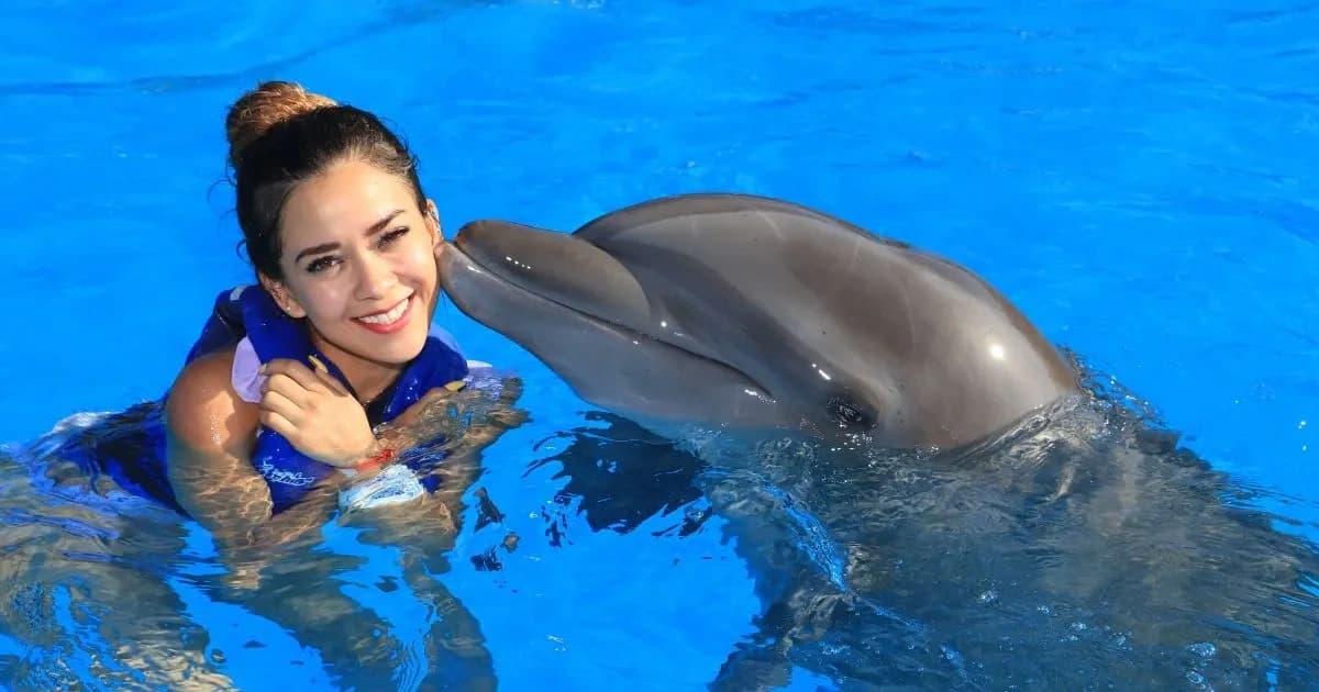 Swim with Dolphins in Cabo San Lucas: 40-Minute Certified Encounters photo 1