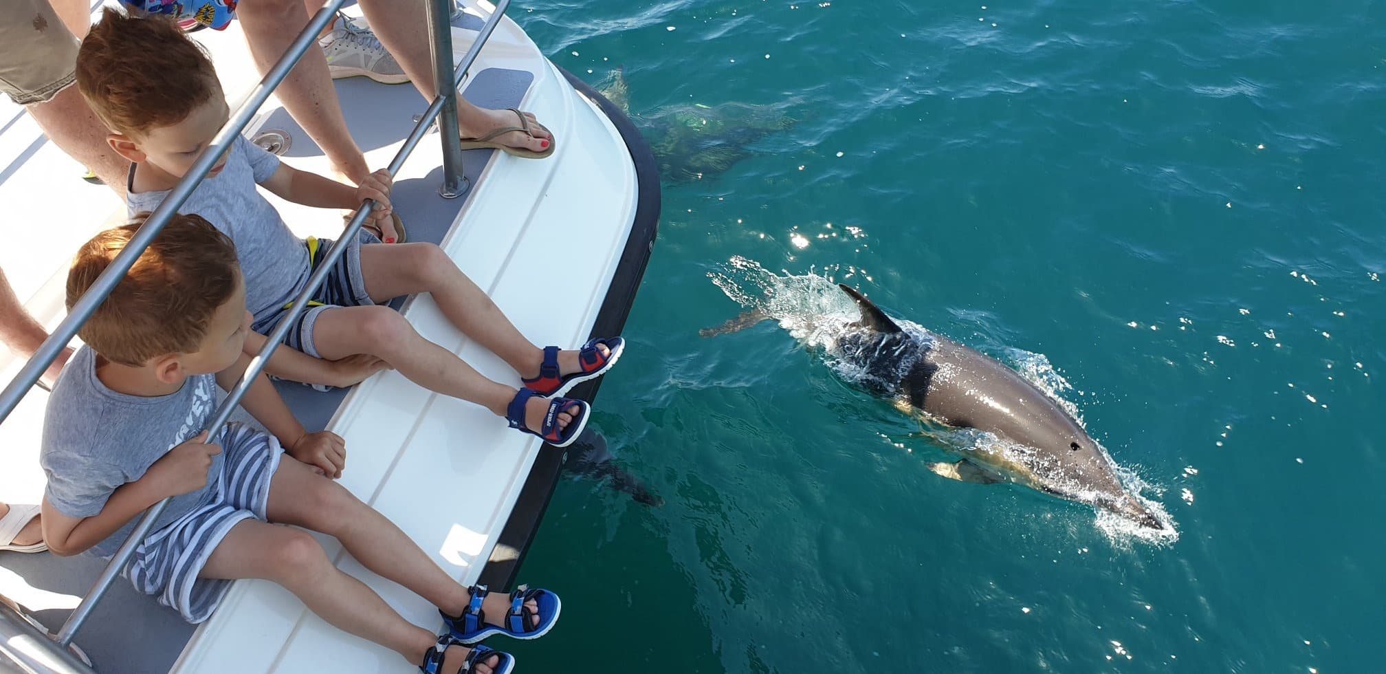 Dolphin Watching Catamaran Tour with Days of Adventure Lagos
