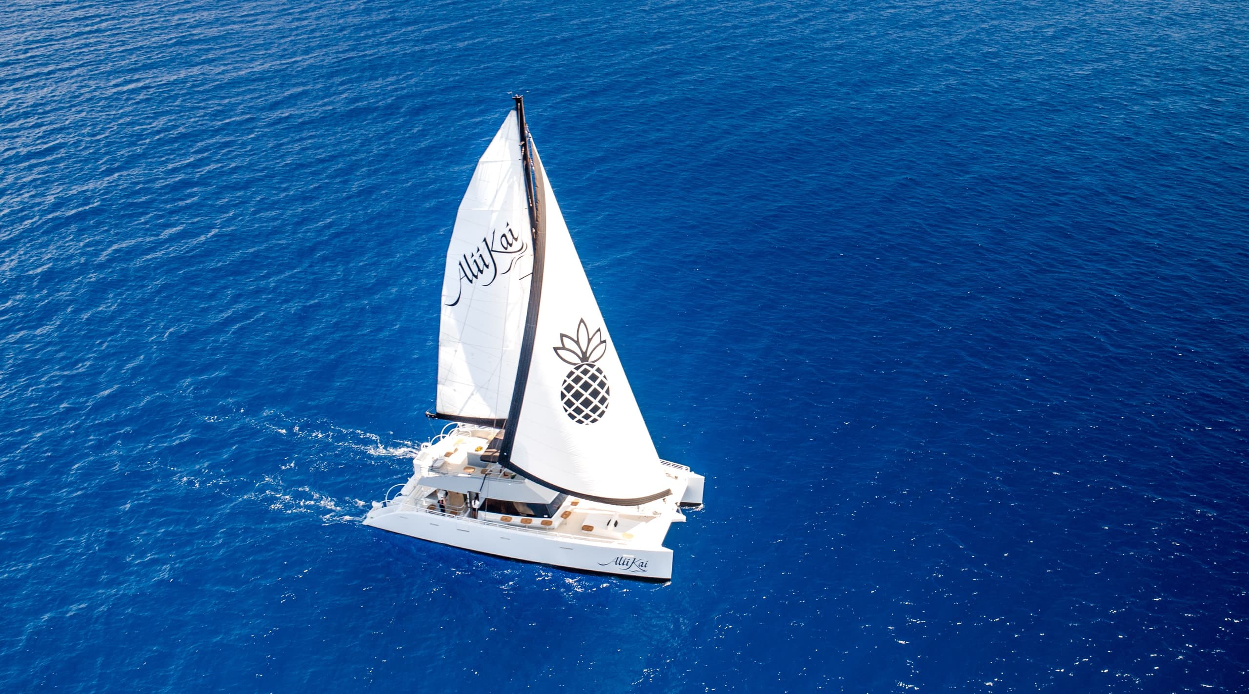 Maui 4th of July Fireworks Dinner Cruise: Five-Course Catamaran Sunset & VIP Views photo 1