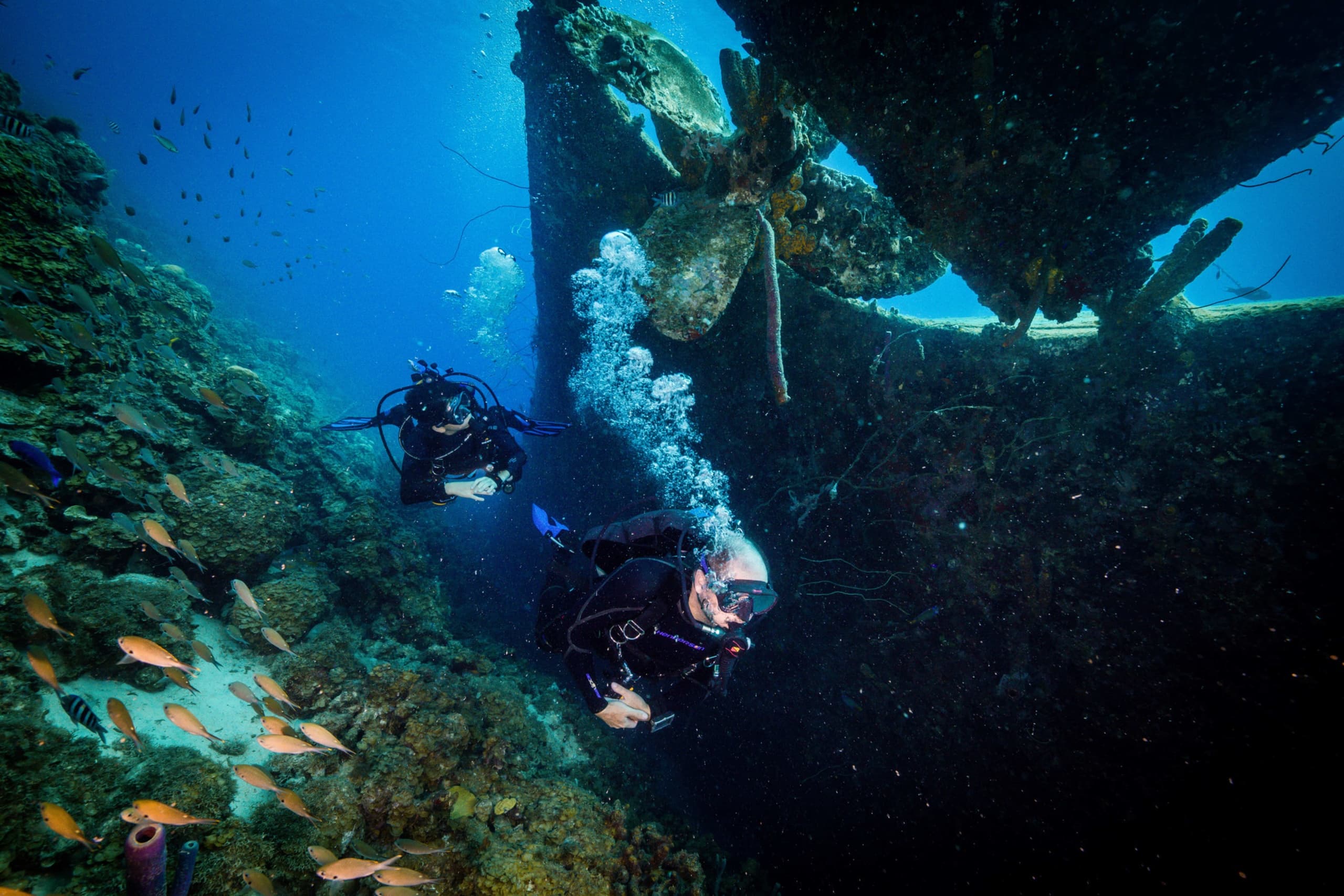Advanced Adventurer Course: Shore-Based SDI Dives in Port Stephens