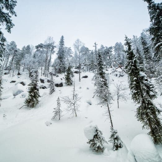 Vattukuru Canyon Hike — Syöte National Park Guided Arctic Hike & Snowshoe