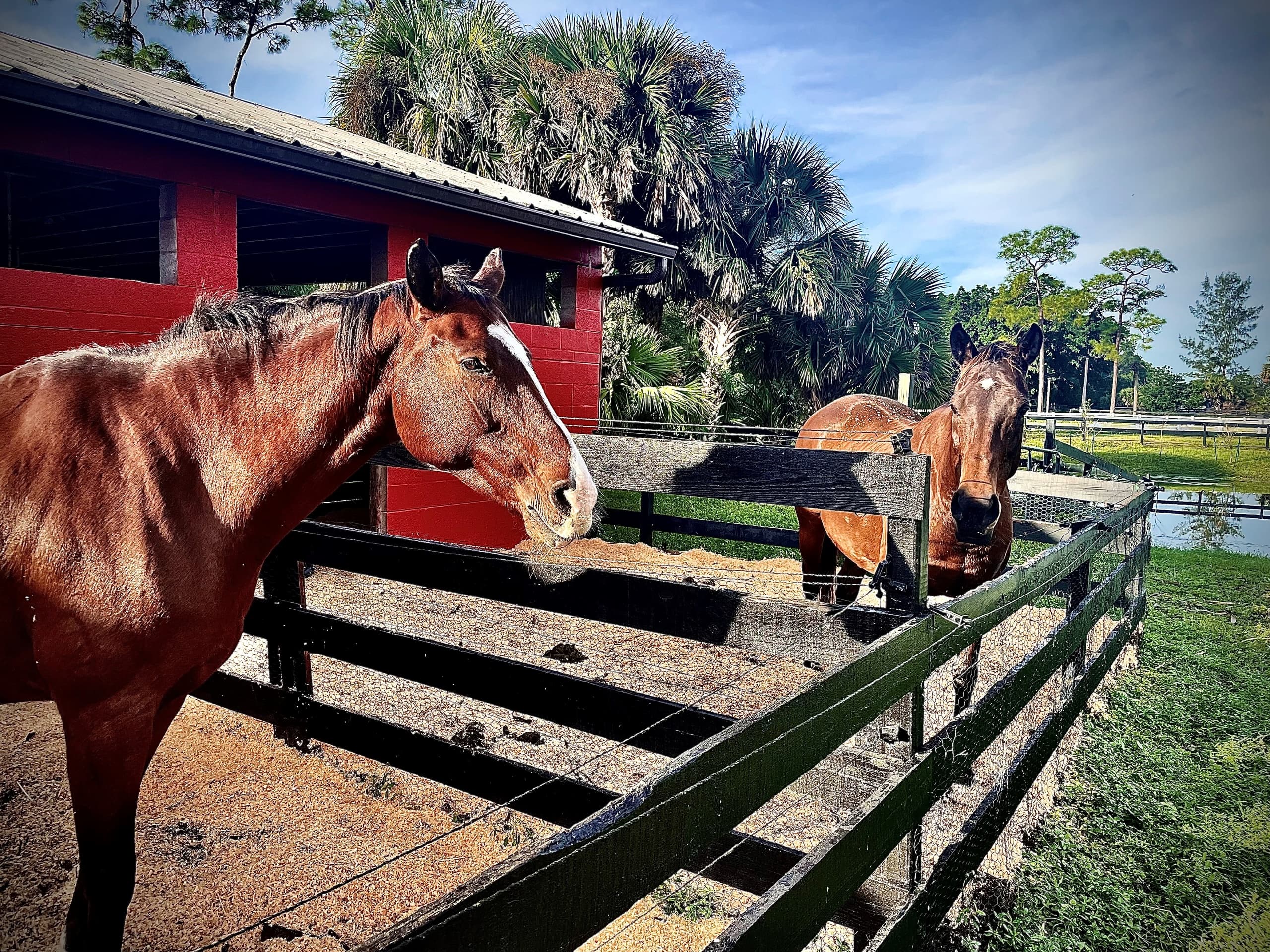 Versatile Gift Card for Outdoor Adventures in Loxahatchee Groves