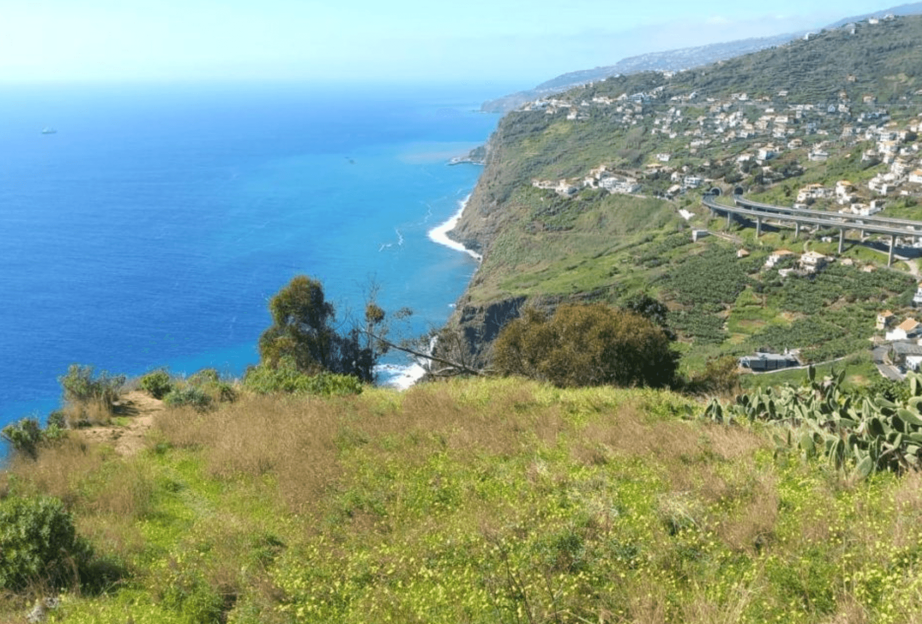Madeira Wine Walks with MB Tours