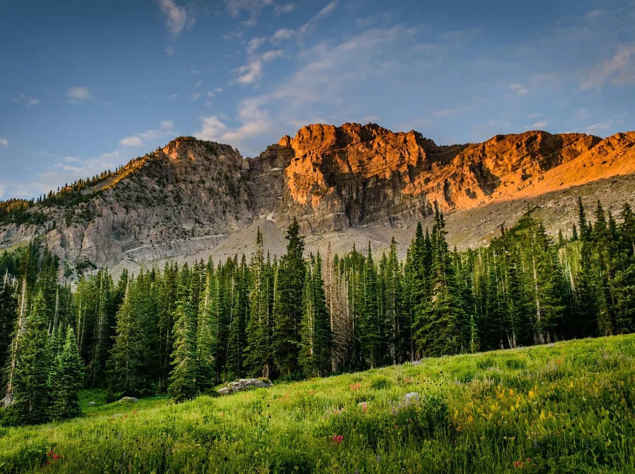 Dusk Drives and Elk: Evening Wildlife & Landscapes Tour in Gallatin Gateway